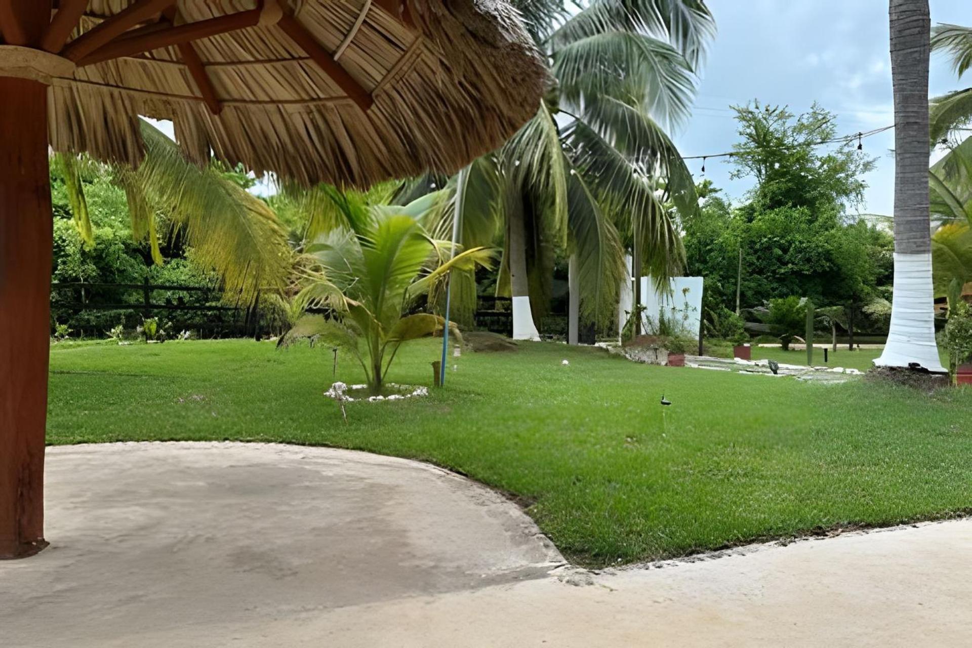 זיהואטנחו Casa Las Palmas Playa La Saladita מראה חיצוני תמונה
