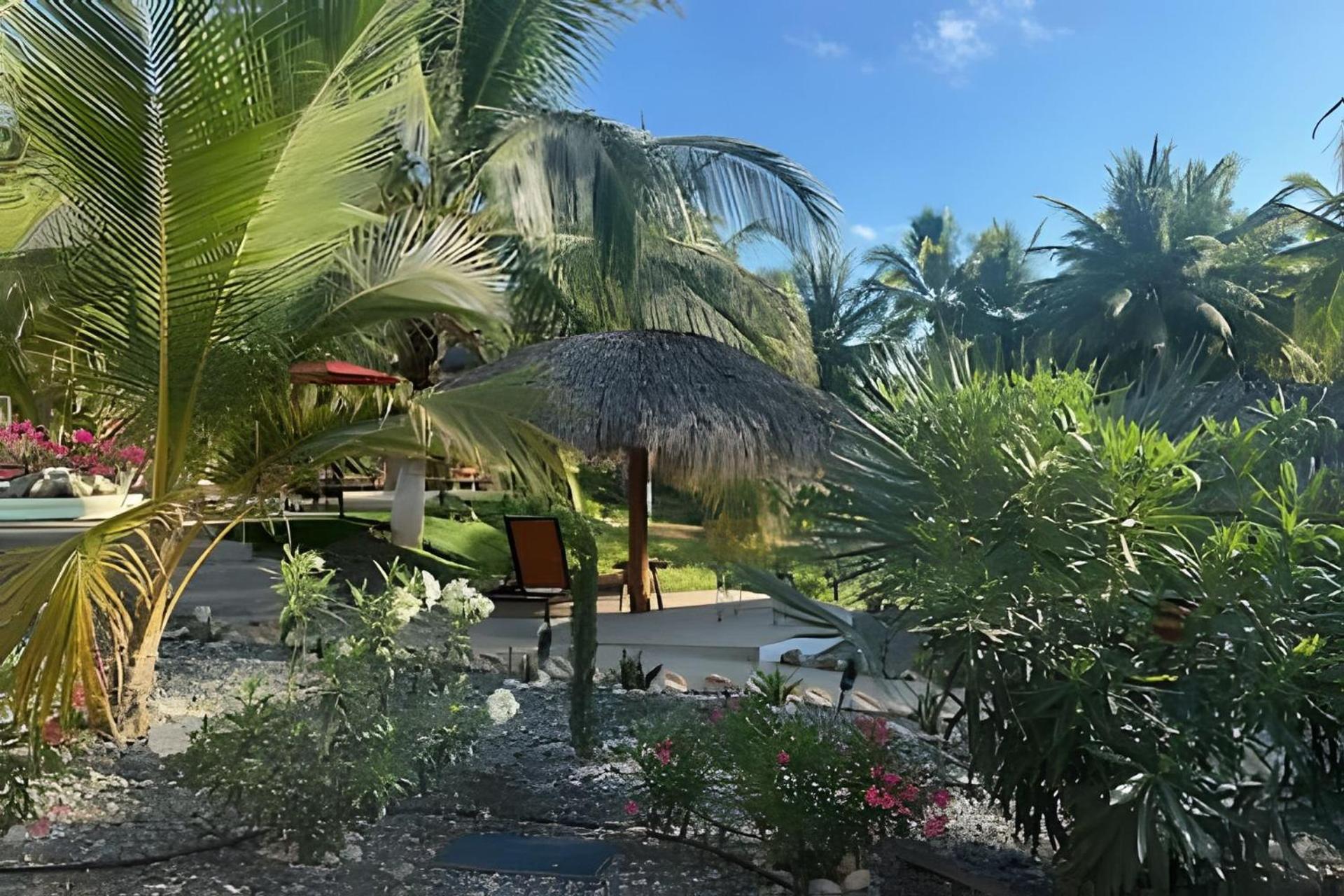 זיהואטנחו Casa Las Palmas Playa La Saladita מראה חיצוני תמונה